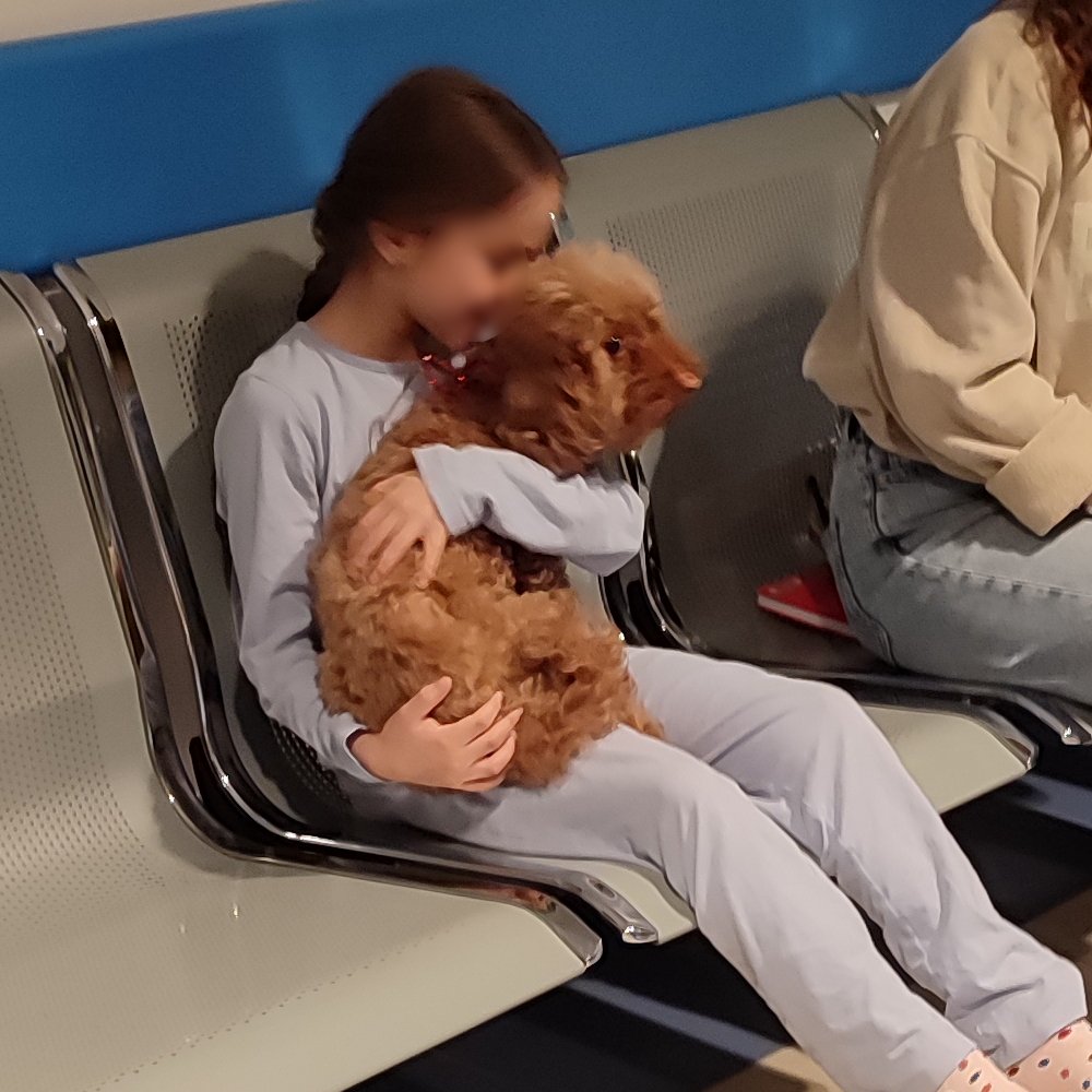 Bambina con cagnolino in braccio