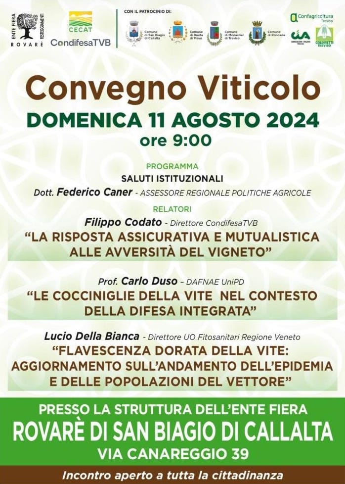 Locandina Convegno Rovarè 2024