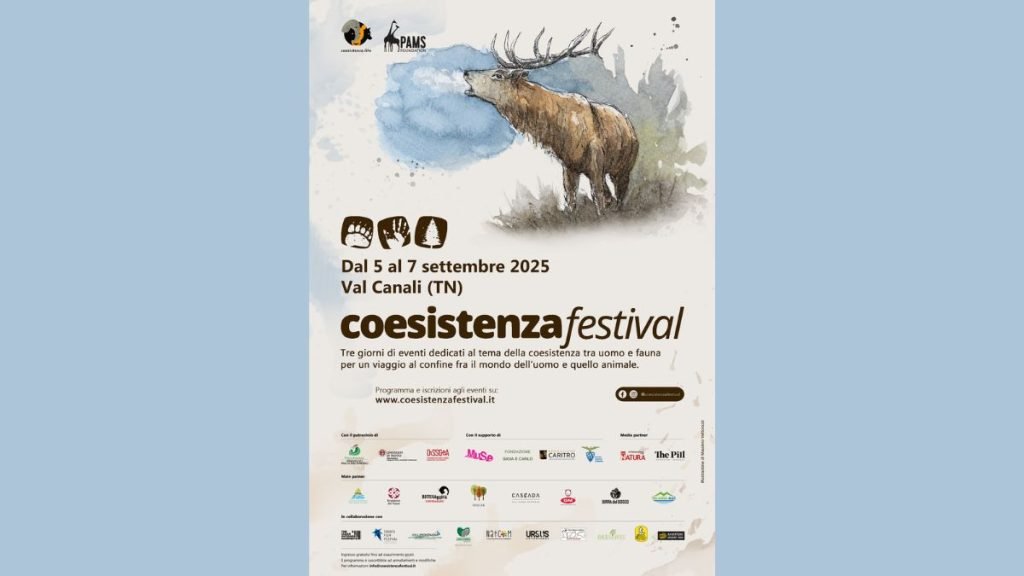 Coesistenza Festival
