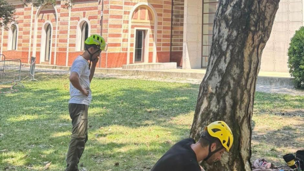 alberi villorba