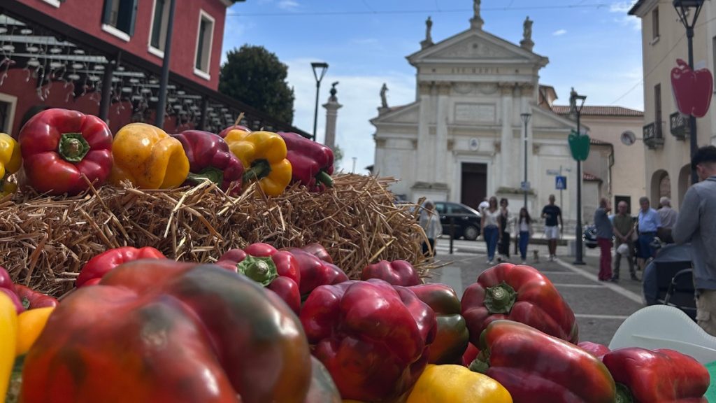 sagra peperone