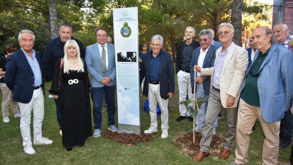 albero omaggio Venezia 82