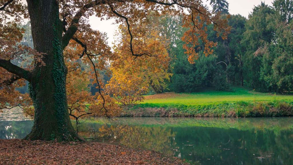 Parco Bolasco Castelfranco Veneto