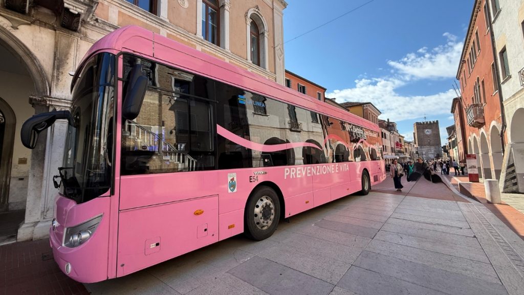 autobus rosa