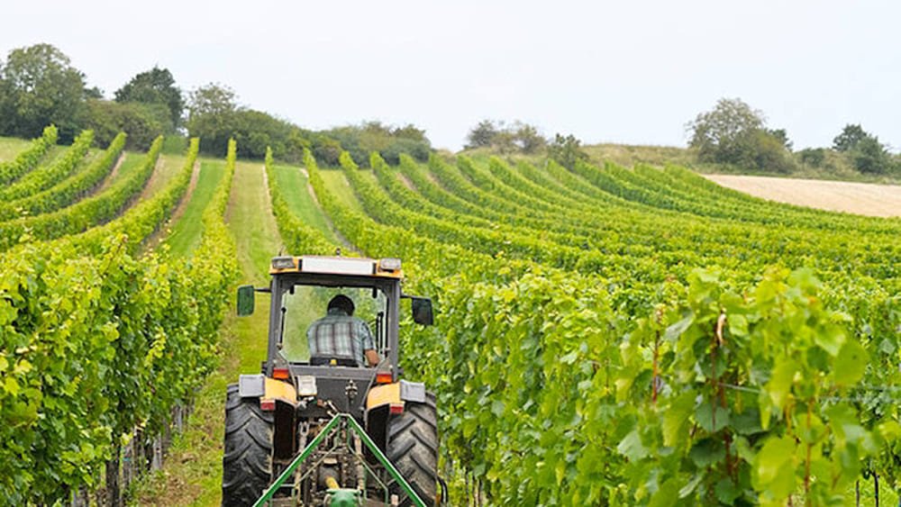 agricoltura-2-2