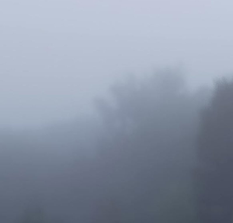 Nebbia ad agosto
