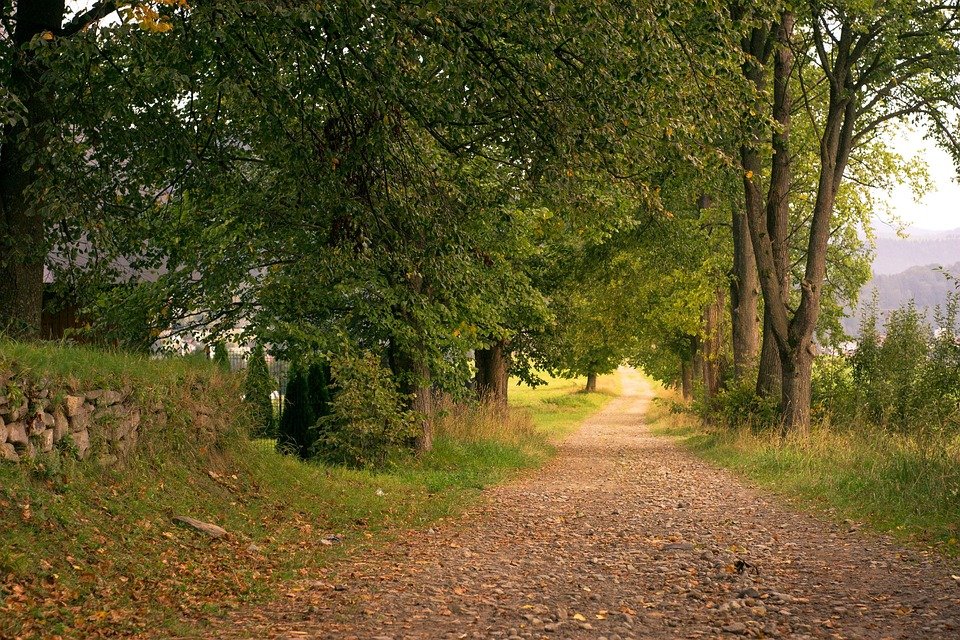 way-2771495_960_720
