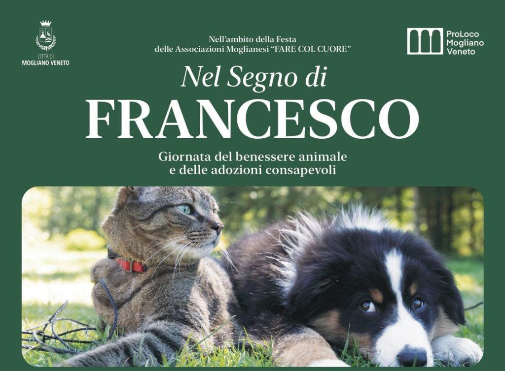 Locandina Nel Segno di Francesco